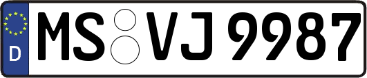 MS-VJ9987