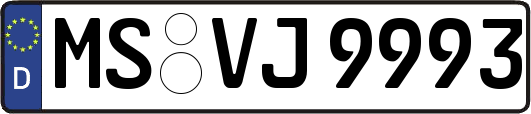 MS-VJ9993