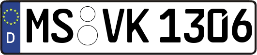 MS-VK1306