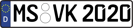 MS-VK2020