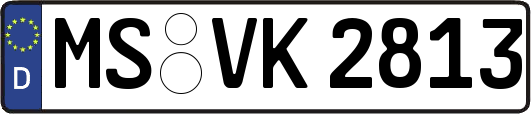 MS-VK2813