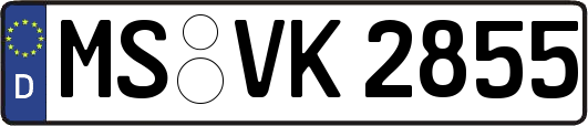 MS-VK2855
