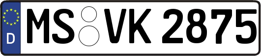 MS-VK2875