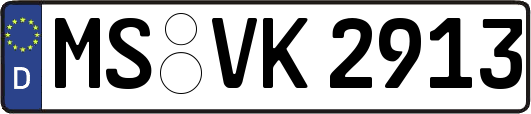 MS-VK2913