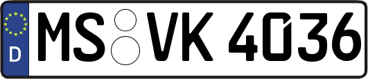 MS-VK4036