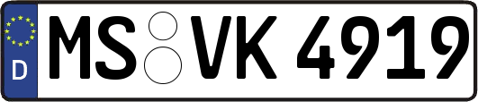 MS-VK4919