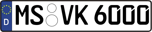 MS-VK6000