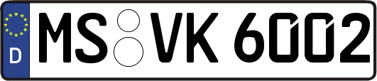 MS-VK6002