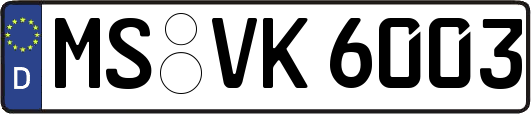 MS-VK6003