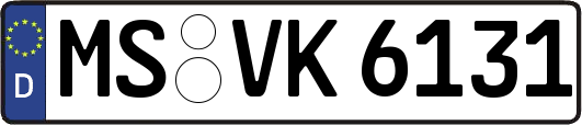 MS-VK6131
