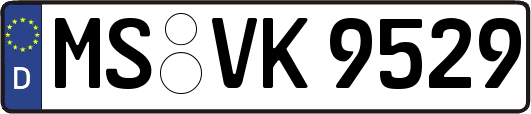 MS-VK9529
