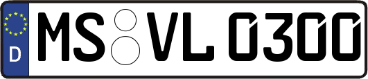 MS-VL0300