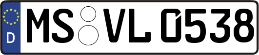 MS-VL0538