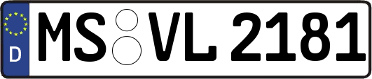 MS-VL2181