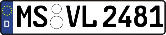 MS-VL2481