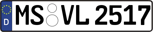 MS-VL2517