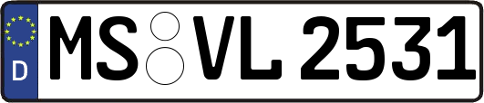 MS-VL2531
