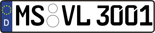 MS-VL3001