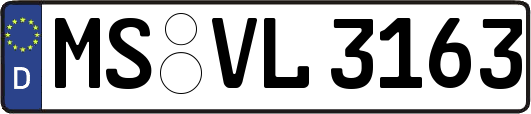 MS-VL3163