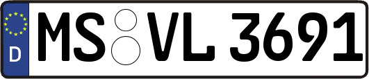 MS-VL3691