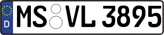 MS-VL3895