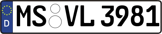 MS-VL3981