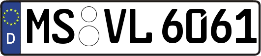 MS-VL6061
