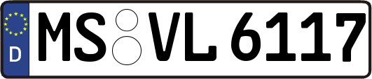 MS-VL6117