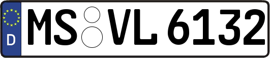 MS-VL6132