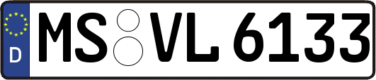 MS-VL6133