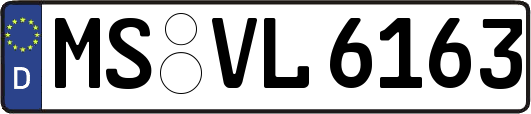 MS-VL6163