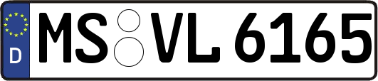 MS-VL6165