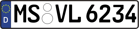 MS-VL6234