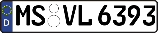MS-VL6393