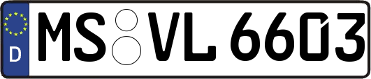 MS-VL6603