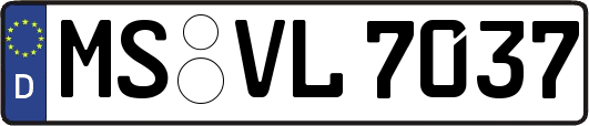 MS-VL7037