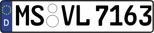 MS-VL7163