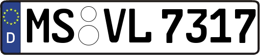 MS-VL7317