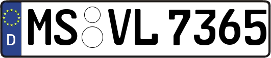MS-VL7365