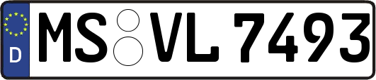 MS-VL7493