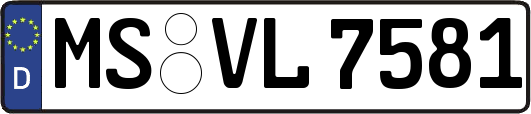 MS-VL7581