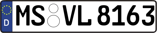 MS-VL8163