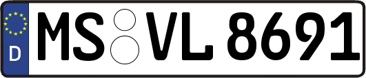 MS-VL8691