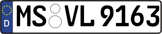 MS-VL9163