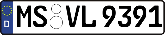 MS-VL9391