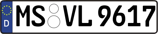 MS-VL9617