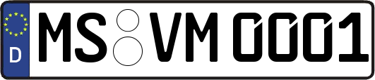 MS-VM0001