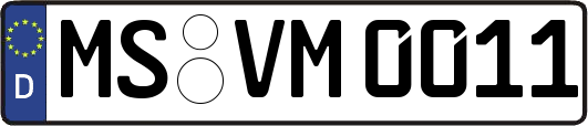 MS-VM0011