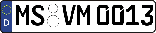 MS-VM0013