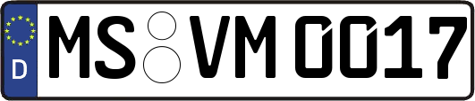 MS-VM0017
